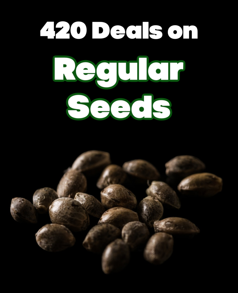 420-sale-regular-seeds