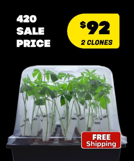420-sale-2-clone