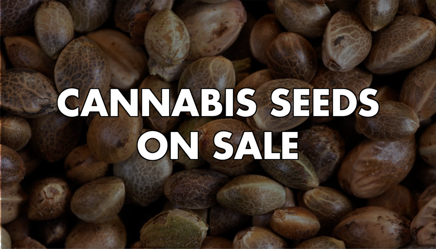 420-sale-cannabis-seeds